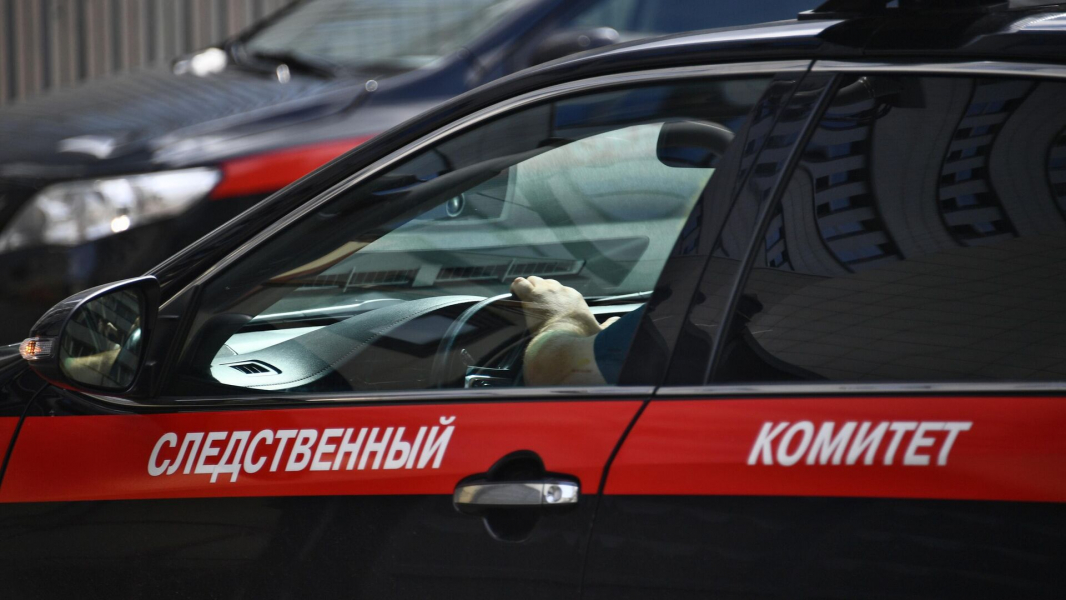 СК: подорвавший авто экс-судьи в Бердянске действовал по заданию Киева