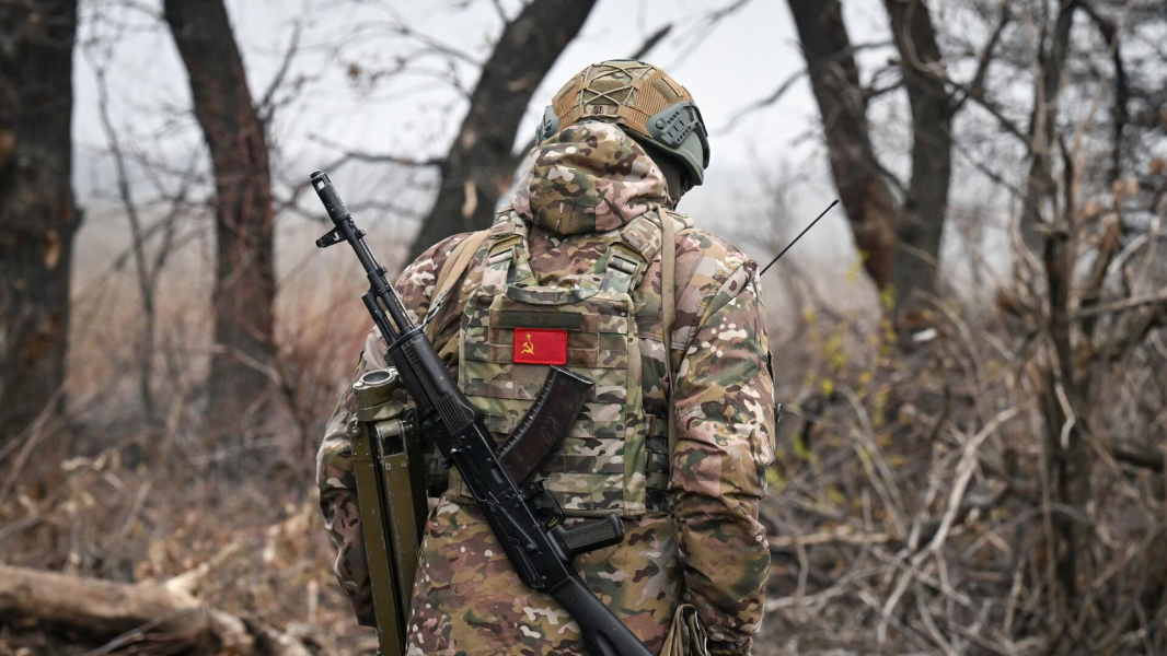 Минобороны: ВС России освободили Воровское в ДНР