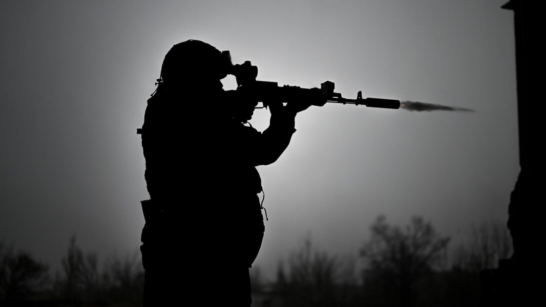 Минобороны: ВС России освободили Анновку в ДНР