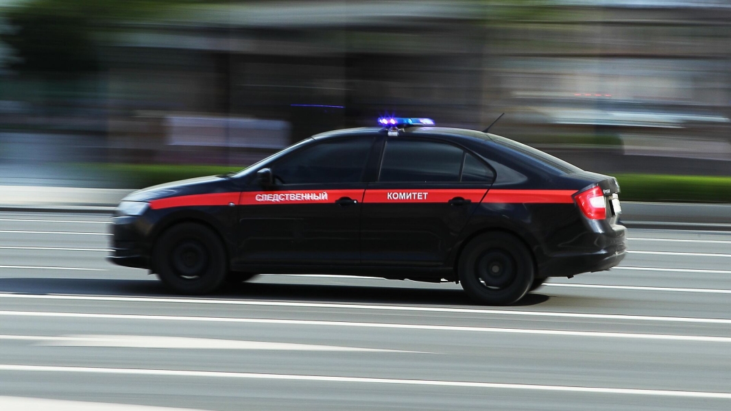СК: участника террористического сообщества из Дагестана ликвидировали 22 апреля